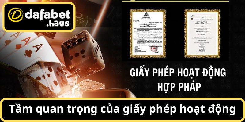 Vai trò quan trọng của giấy tờ pháp lý nền tảng sở hữu