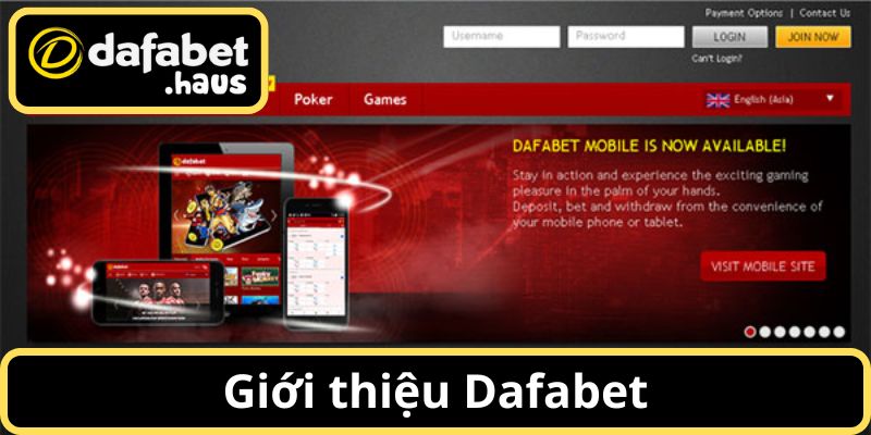 Giới thiệu Dafabet về sảnh game bài ấn tượng nên thử